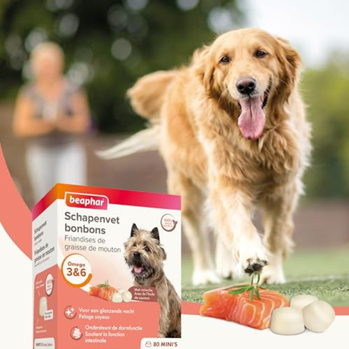 Beaphar 11022 schapenvet snoep zalm mini 245g – beaphar