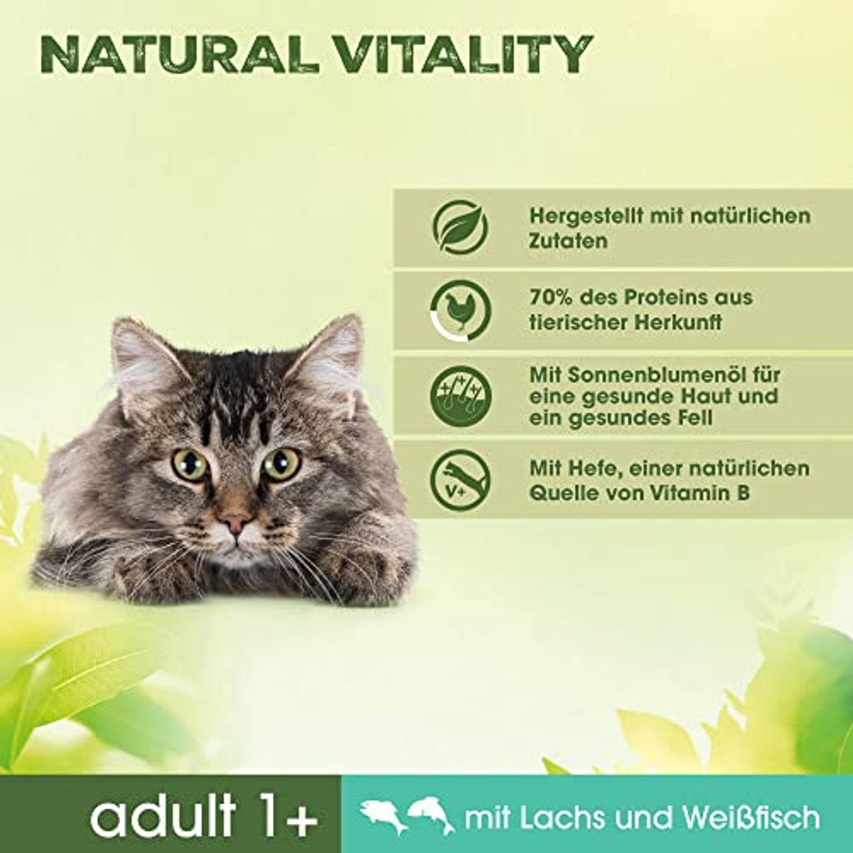 Perfect Fit Natural Vitality droogvoer kat Zalm & Witvis 6 x 650 g - 3-pack