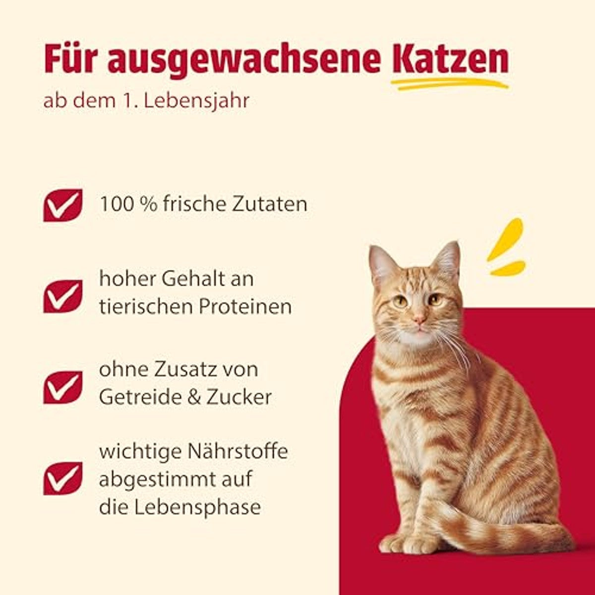 Animonda Exquise Kattenvoer voor volwassen katten, nat voer | Graanvrij kattennatvoer zonder suiker voor volwassen katten, met verse vlezige ingrediënten – animonda Carny