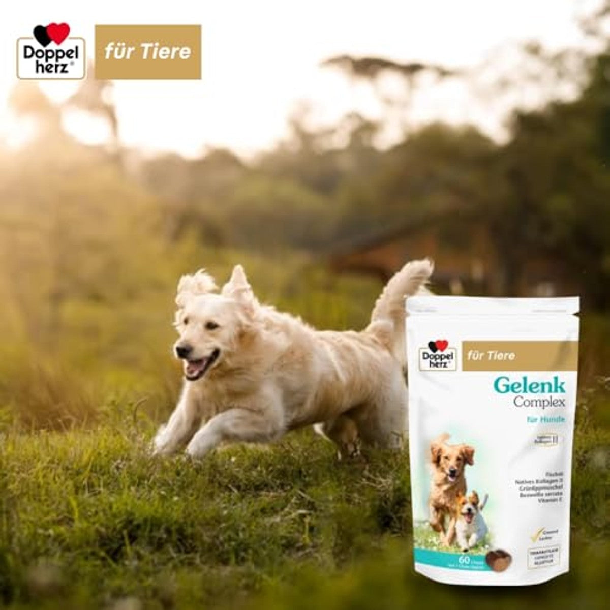 Doppelherz Gewrichtscomplex voor Honden 60 Kauwtjes - 3-pack