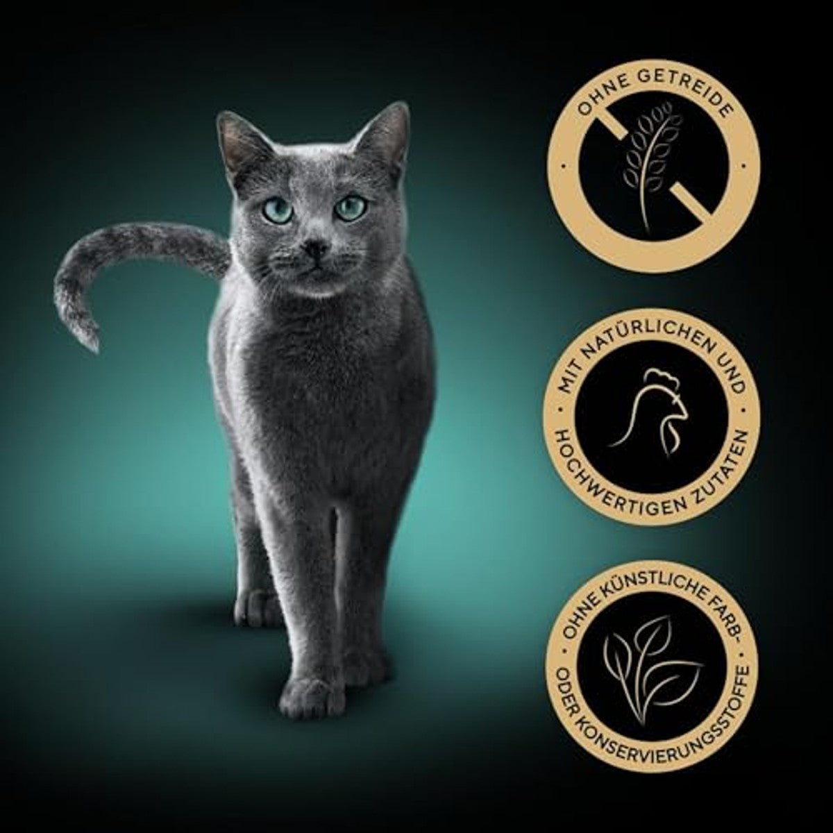 Sheba Nature's Collection natvoer kattenvoer kip 2 x 11 x 85 g - 3-pack