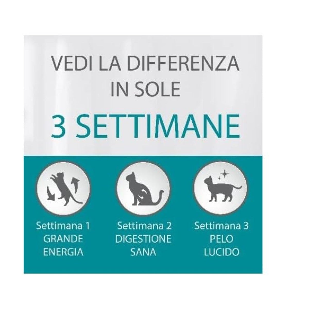 PURINA ONE Bifensis droogvoer kat huid en vacht kip 800 g - 6-pack