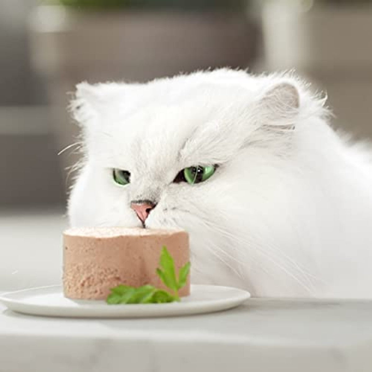Gourmet Goud natvoer kattenvoer eend en spinazie 12 x 85 g - 6-pack