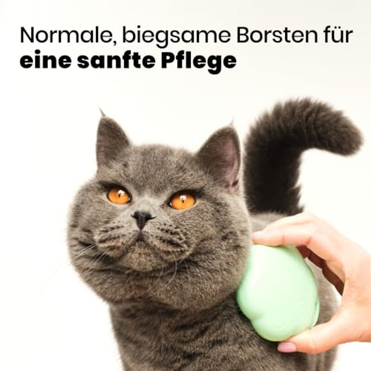 Tangle Teezer Pet Teezer Kattenborstel Groen - 6-pack