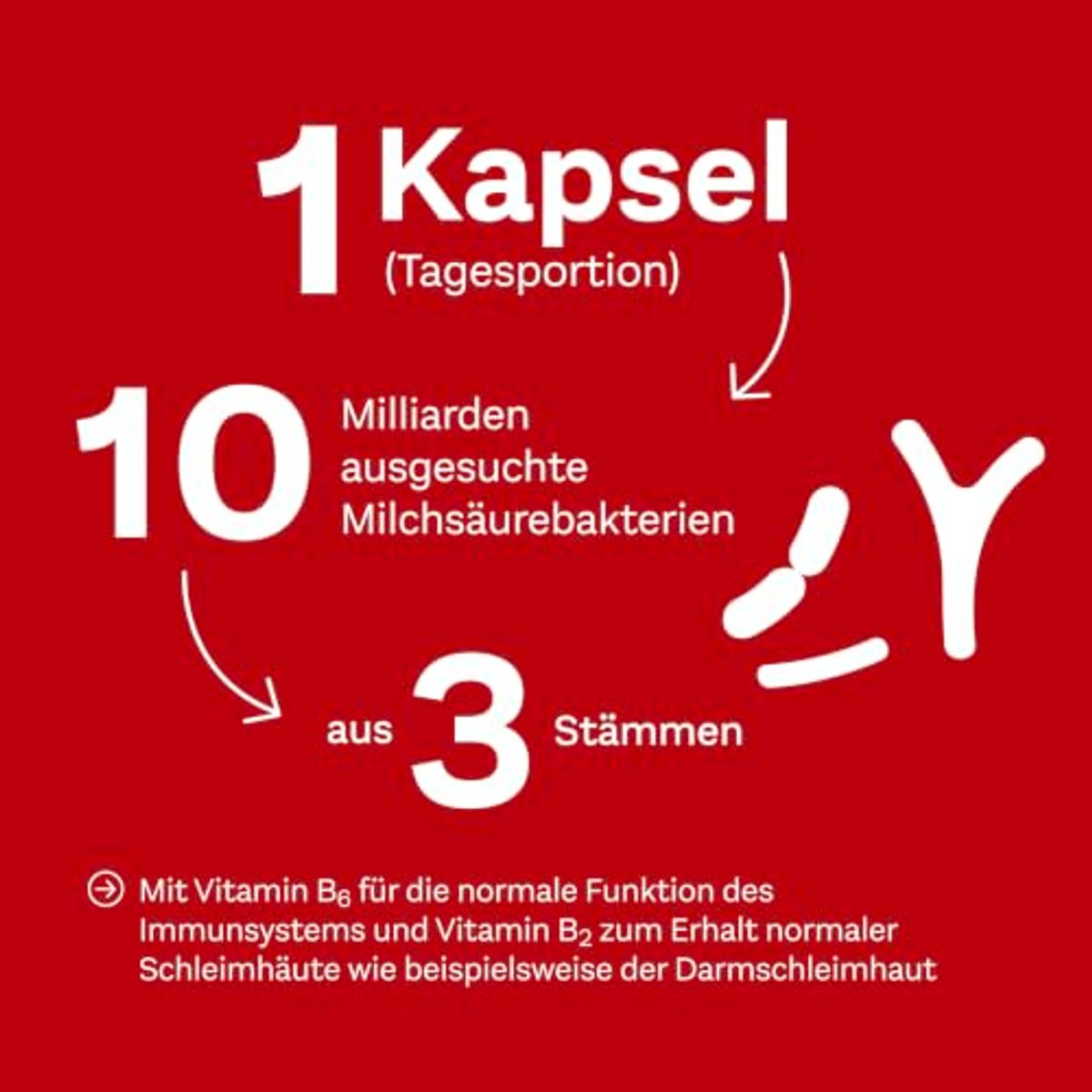 Doppelherz MikrobionaPro® 10 Melkzuurbacteriën 20 Capsules - 3-pack