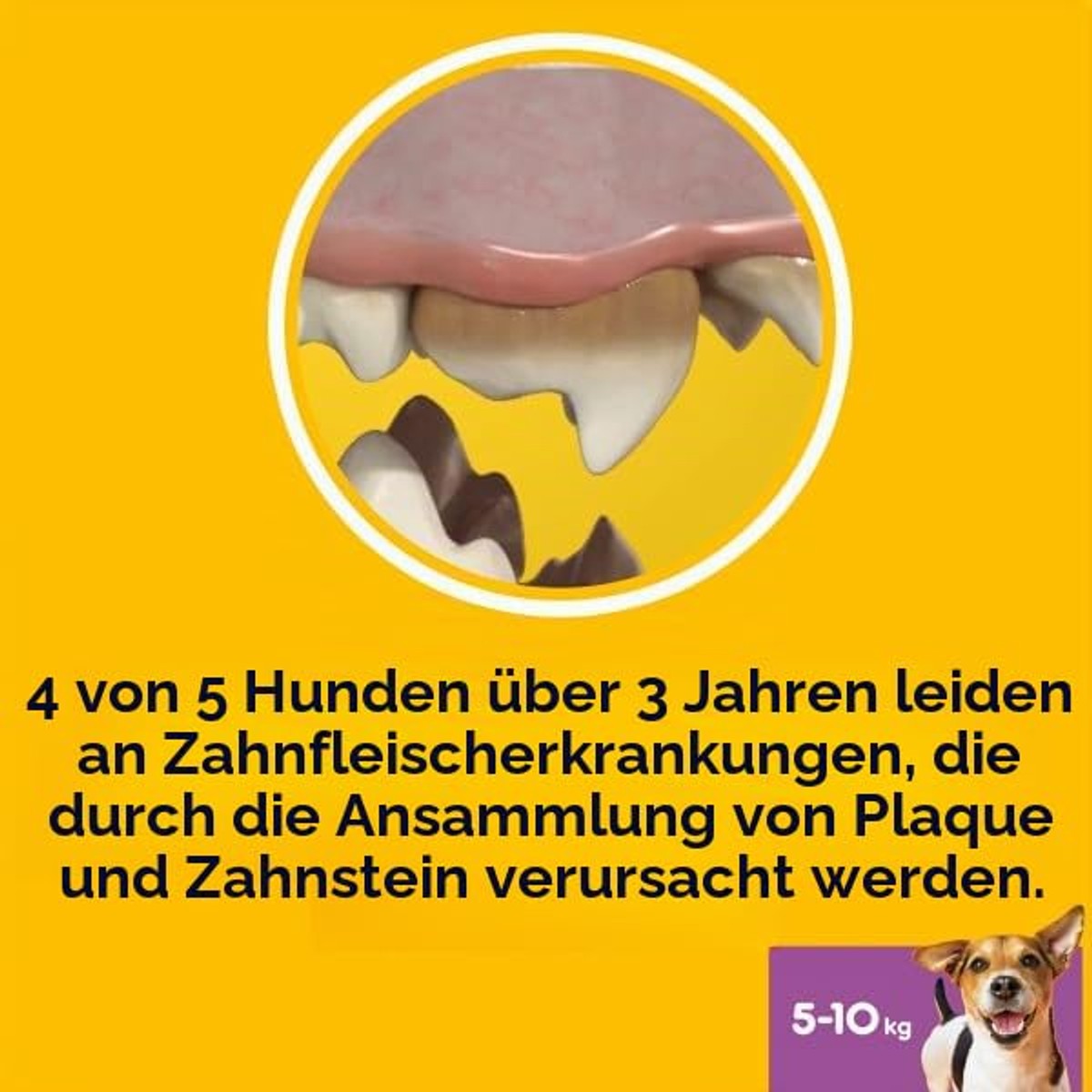 Pedigree Dentastix Fresh kleine hond 5-10 kg 112 stuks 440 g - 6-pack