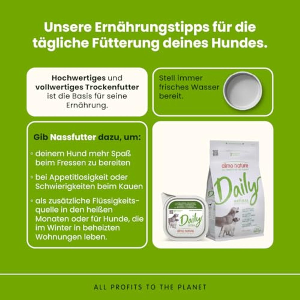 Almo Nature Daily Natvoer Hond Kalkoen en Courgette 100 g - 6-pack