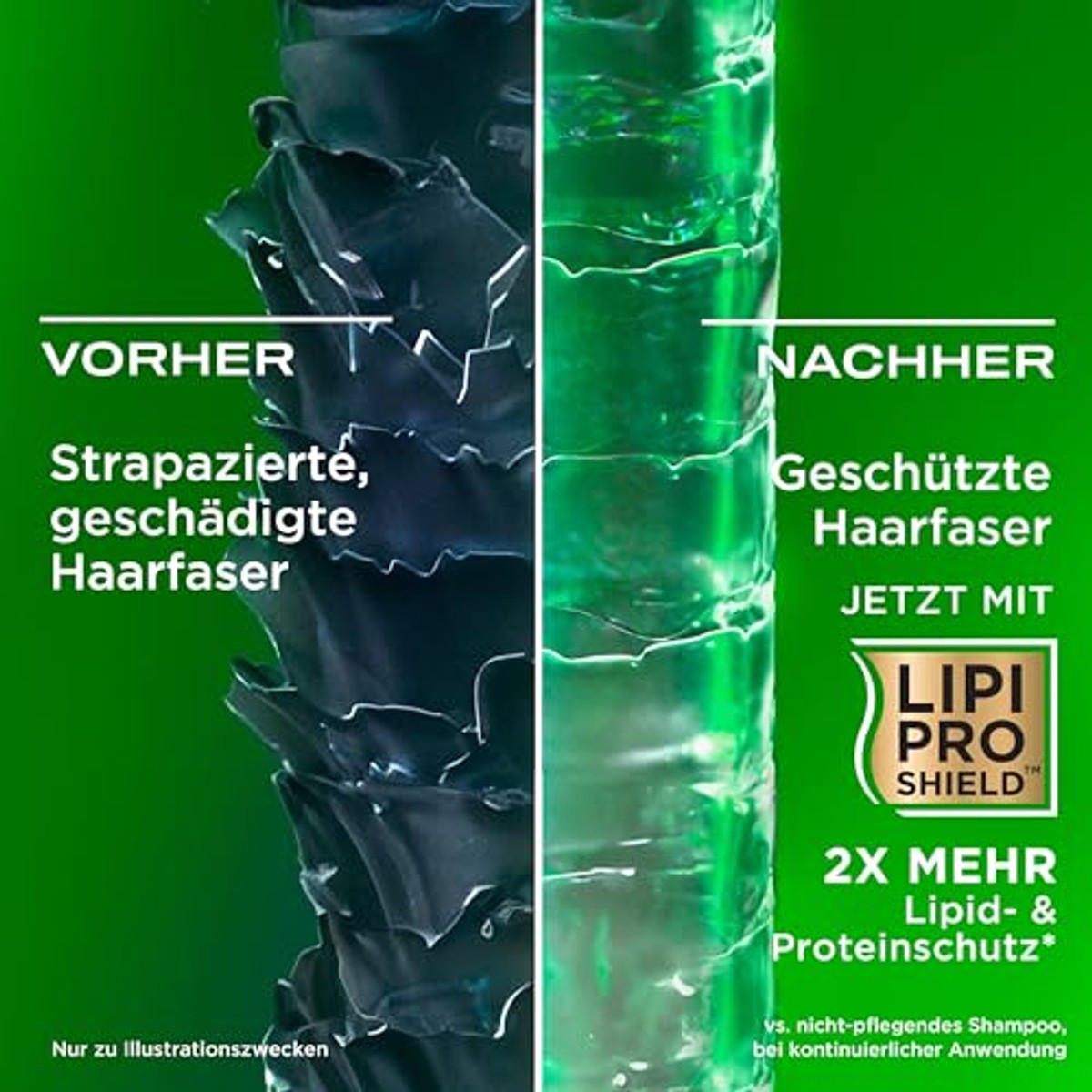 OGX Rozemarijn Mint Shampoo 385 ml - 3 stuks