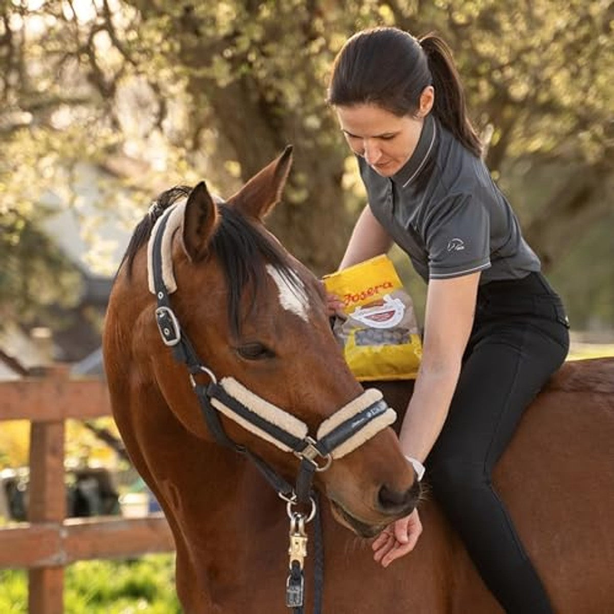 JOSERA Senior | 15 kg | paardenvoer voor oudere en zwaarvoedige paarden | Paard Senior | Premium mueslimix voor vitaliteit tot hoge paardenleeftijd | voedingsrijk en gemakkelijk verteerbaar – Josera