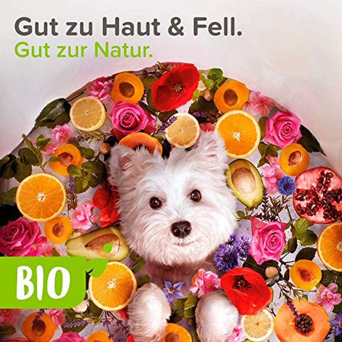beaphar 17750 Biologische droge shampoo voor honden en katten, zachte verzorging en reiniging van de vacht zonder water, 200 ml – beaphar