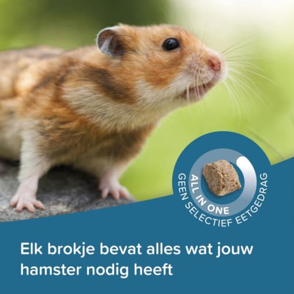 Beaphar Care+ hamstervoer 700 g - 6-pack