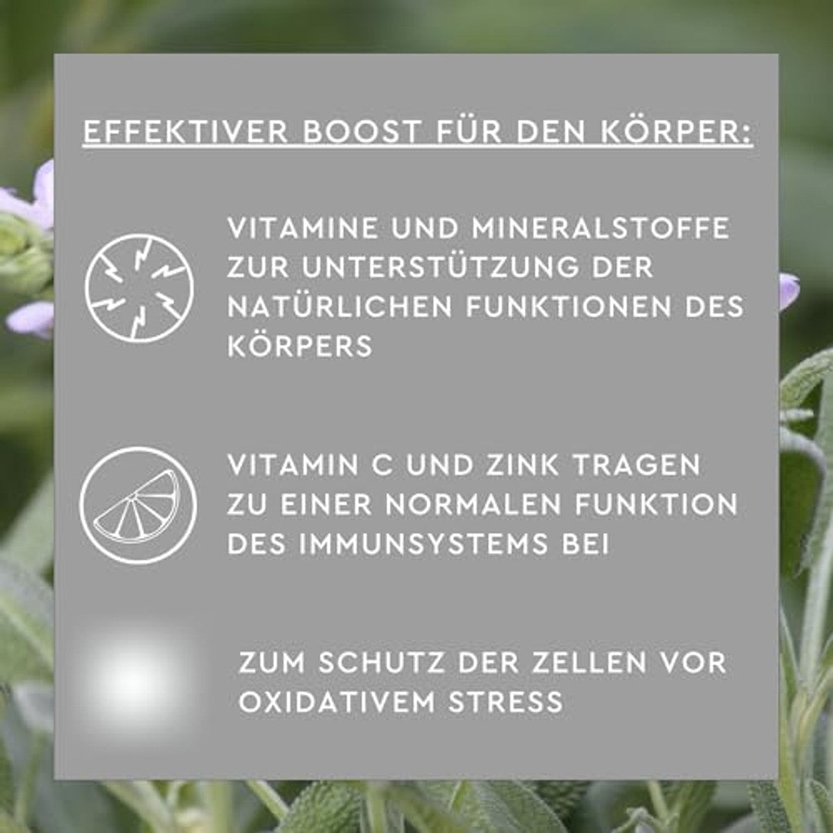 Sunlife Warme Salie met Honing en Vitamine C 1 x 20 Sticks - 3-pack