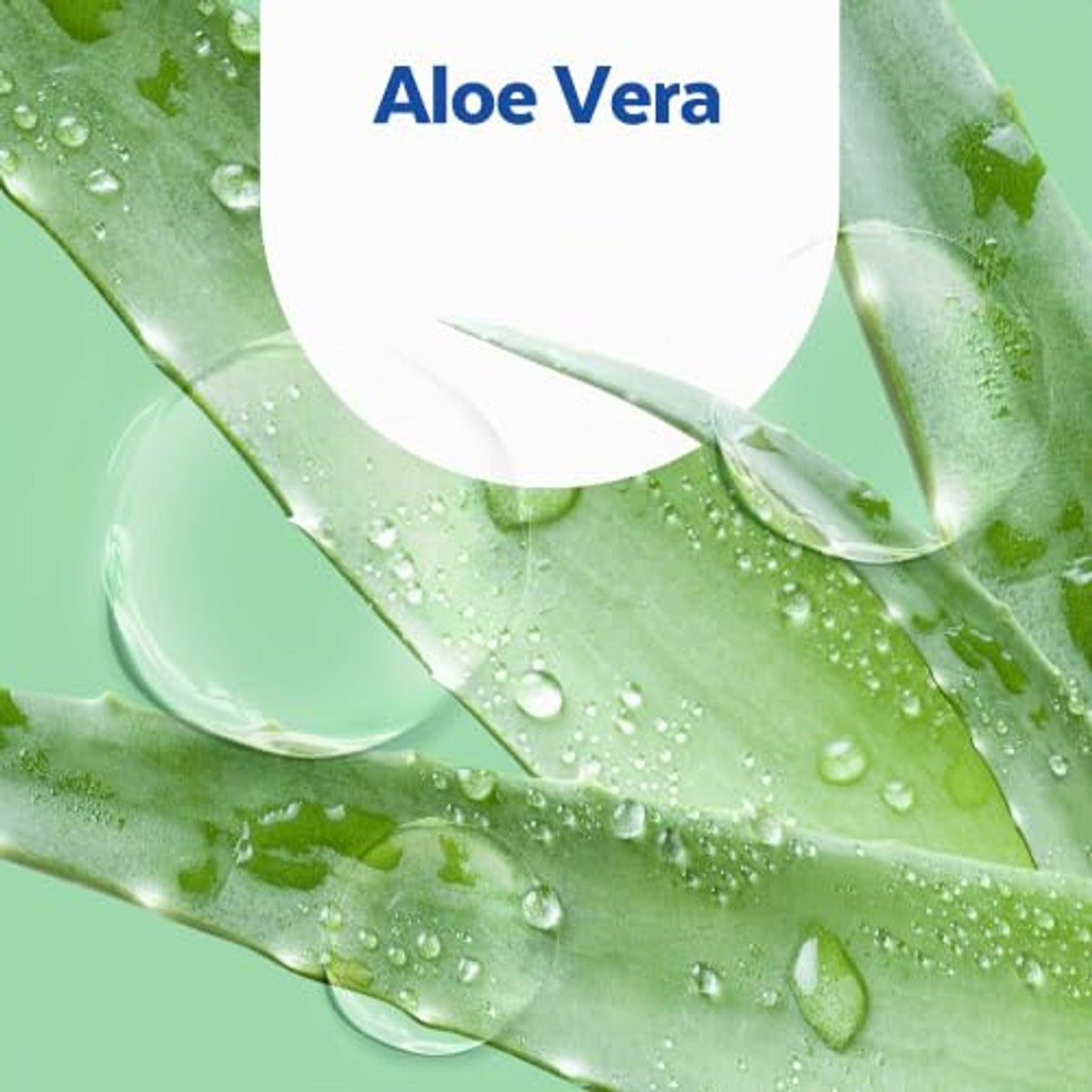 Sagrotan No-Touch navulling aloë vera 3 x 5 x 250 ml - 3-pack