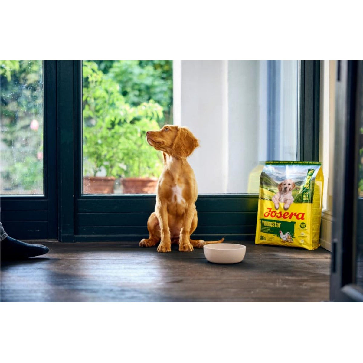 Josera YoungStar Junior droogvoer hond kip aardappel 12,5 kg - 3-pack