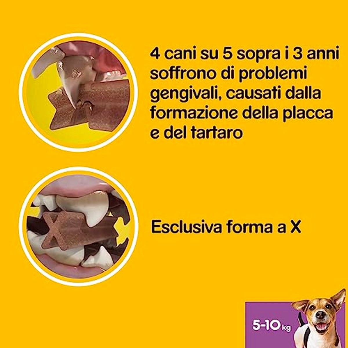 Pedigree Dentastix Fresh kleine hond 5-10 kg 140 stuks 550 g - 6-pack