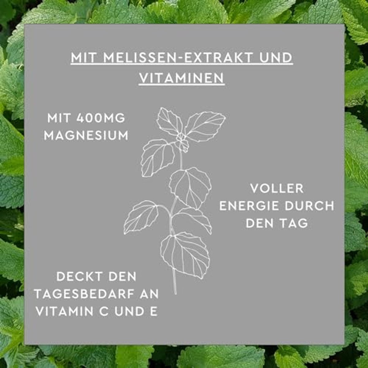 Sunlife Magnesium 400 mg Nachttabletten met Melisse 32 st - 3-pack