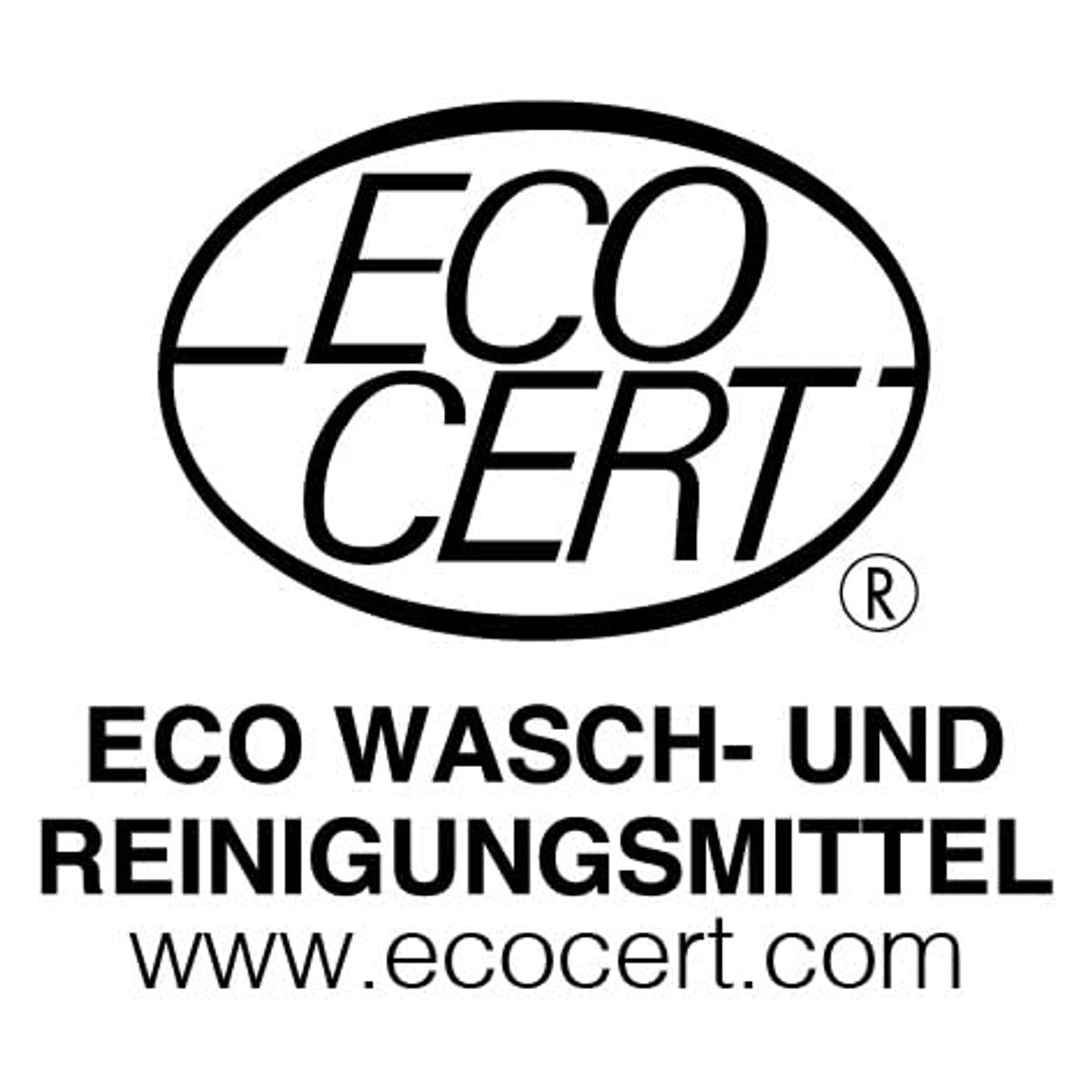 SONAX CleanStar Ecocert 750 ml – SONAX