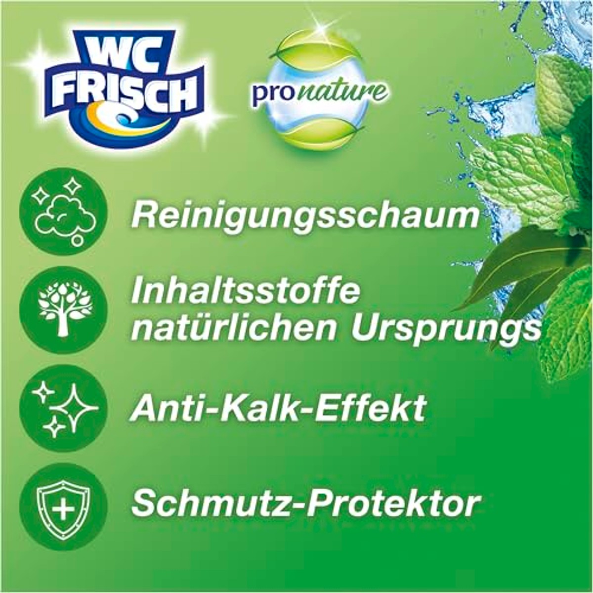 WC-Frisch Kraft Aktiv Pro Nature Mint & Eucalyptus 6 x 10 stuks - Voordeelverpakking