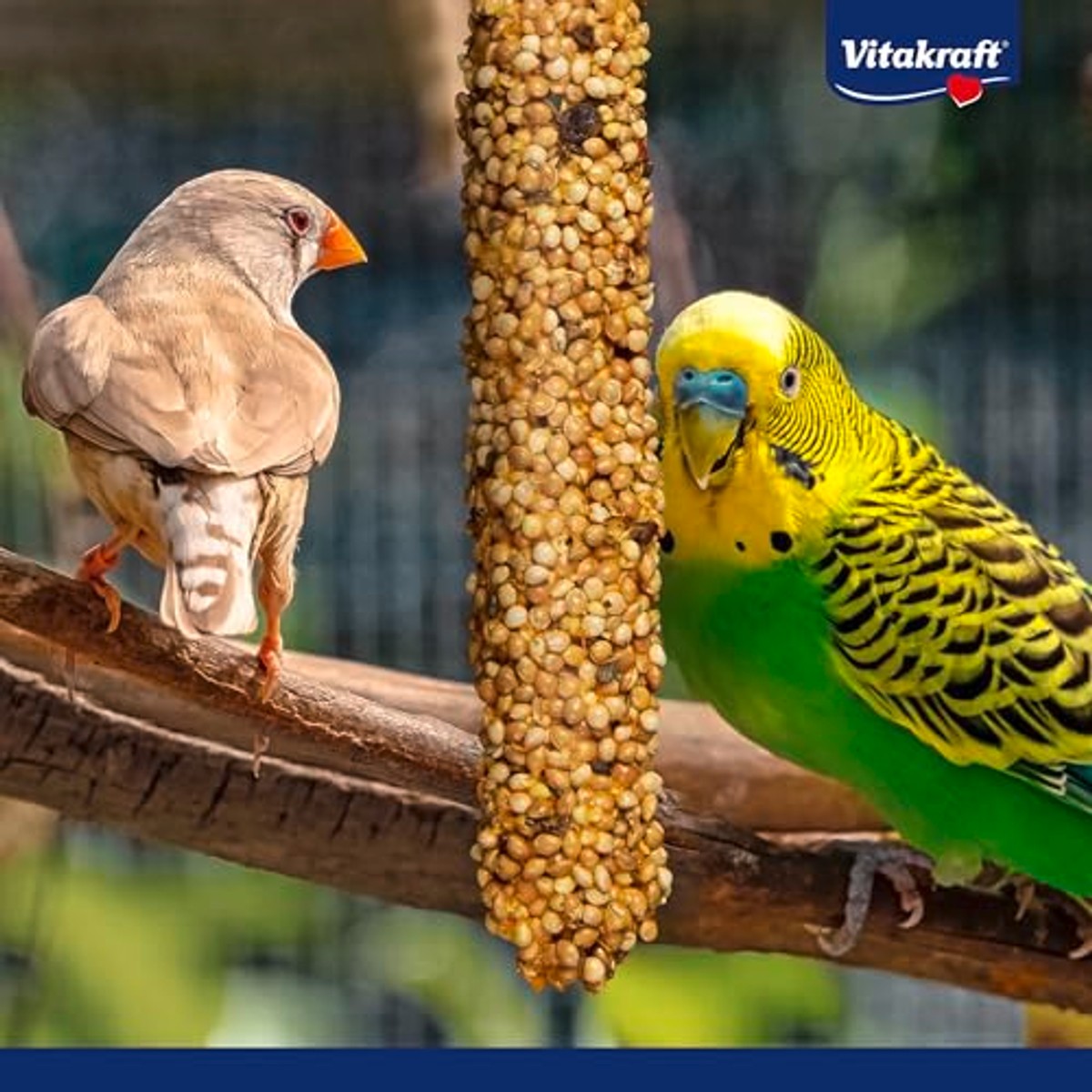 Vitakraft Cracker vogelsnack ei en graszaad 10 x 54 g – foto 5