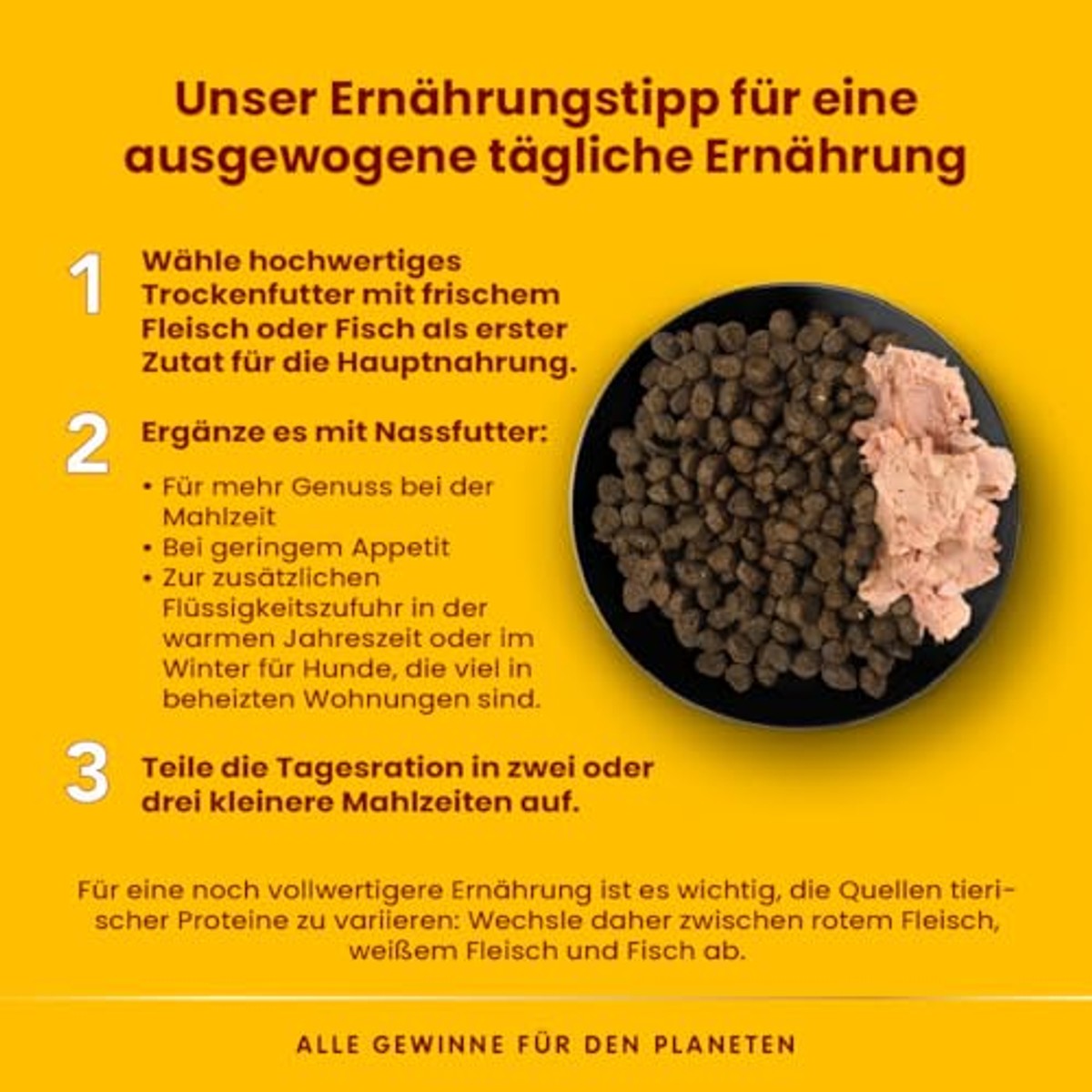 Almo Nature HFC Natural Natvoeding Hond Kippenfilet 24 x 95 g - 6-pack