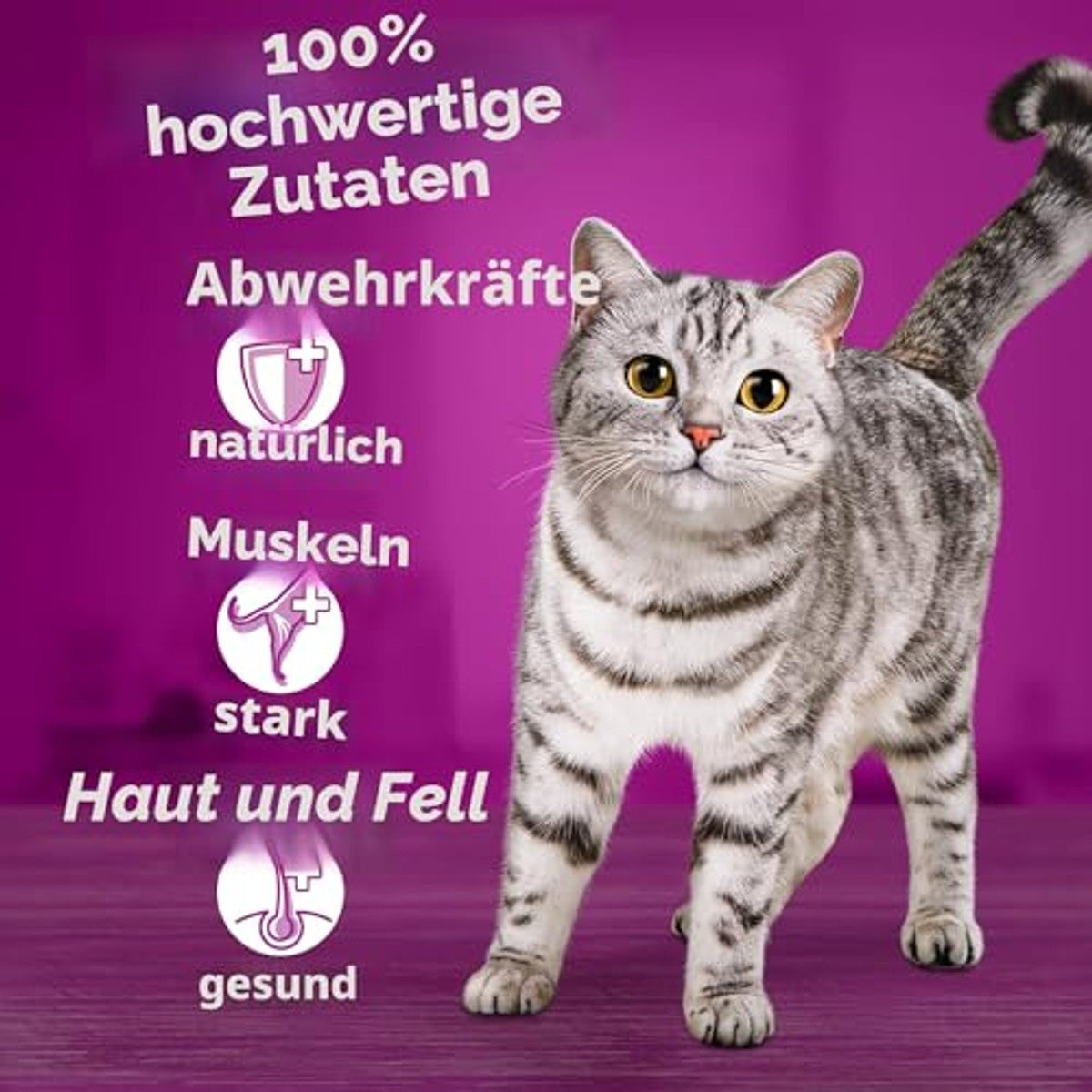 Whiskas Klassieke Selectie natvoer kattenvoer saus 4 x 12 x 85 g - 3-pack