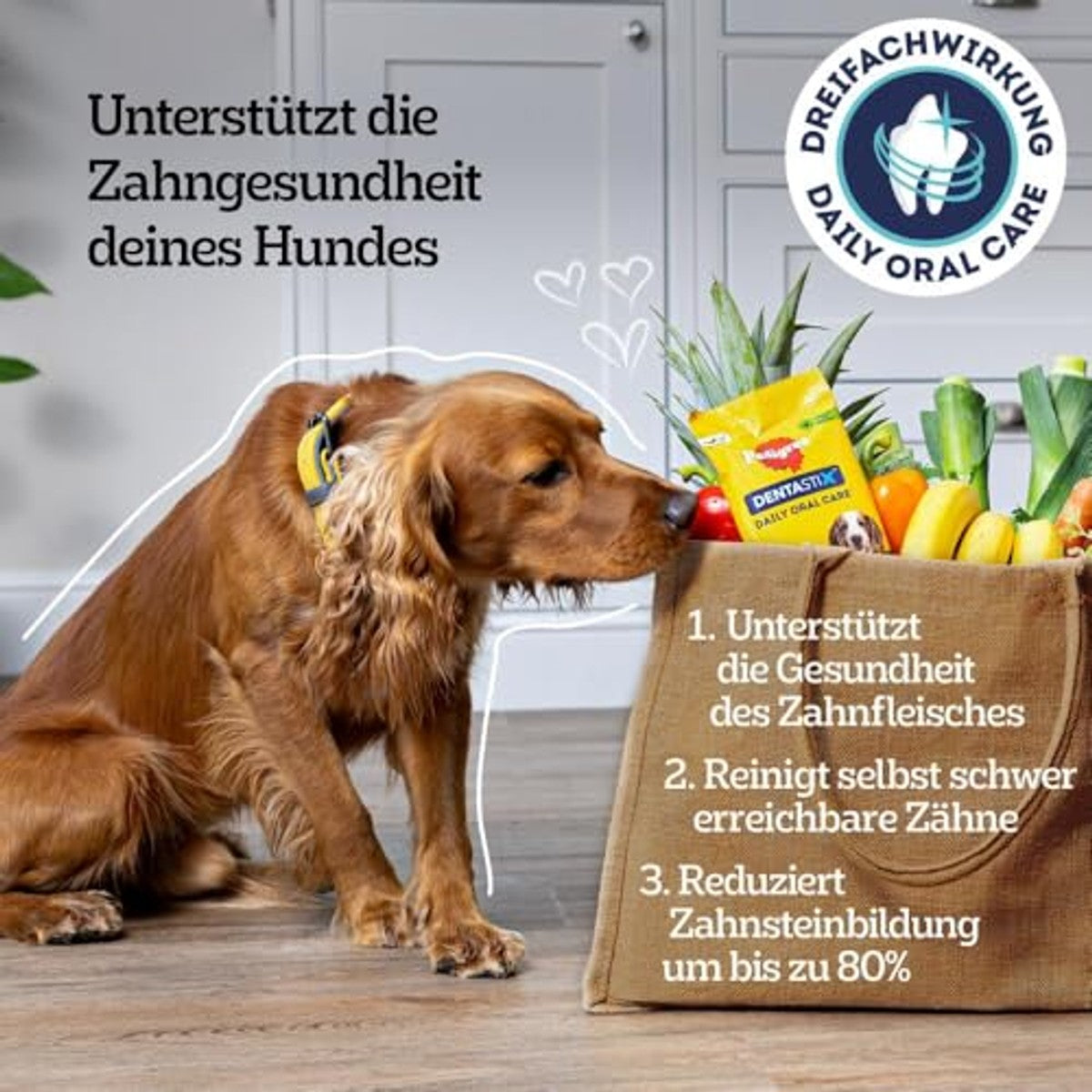 Pedigree Dentastix grote hond 25 kg+ kip en rundvlees 4 x 1,08 kg - 3-pack