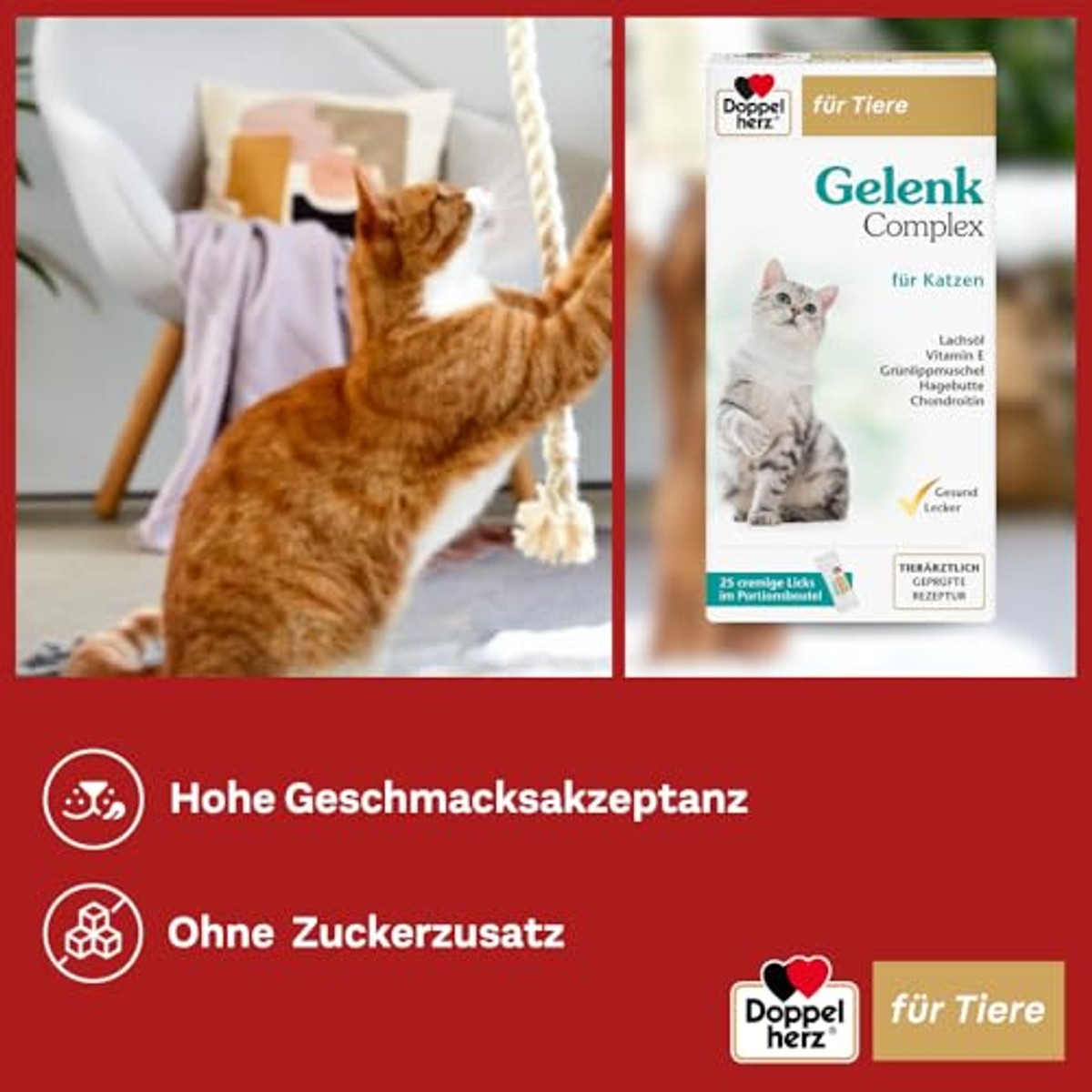 Doppelherz Voor dieren gewrichtscomplex voor katten – Doppelherz