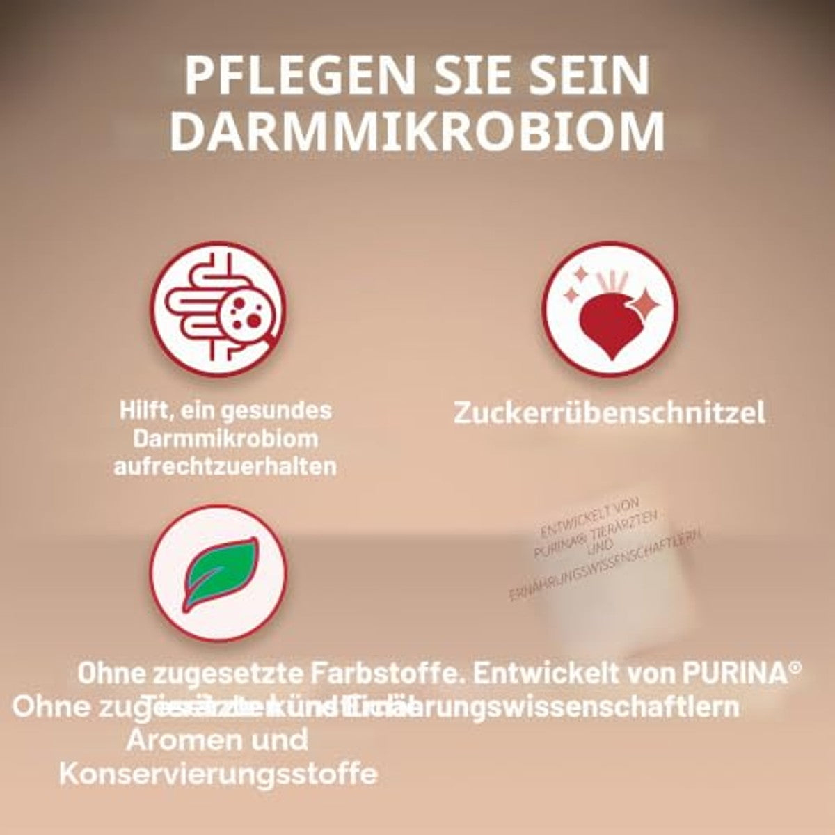 PURINA ONE Medium/Maxi > 10 kg | volwassenen | gevoelig | rijk aan zalm voor honden | zak van 2,5 kg – PURINA ONE