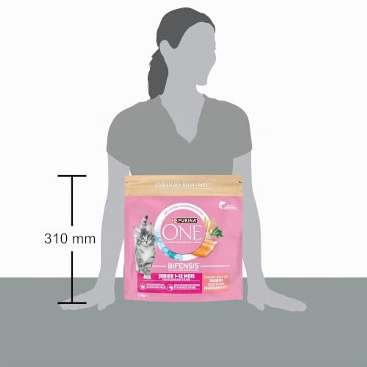 PURINA ONE | BIFENSIS | Kittens tot 12 maanden en katten tijdens de zwangerschap | droogvoer | helpt bij de gezonde ontwikkeling van de vitale functies van de kat | zalm | zak | 1,5 kg – PURINA ONE