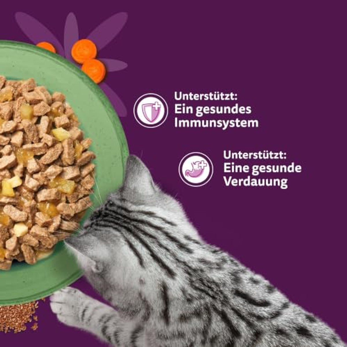 Whiskas 1+ Superfoods Fine Variety natvoer kattenvoer in gelei 36 x 50 g - 3-pack
