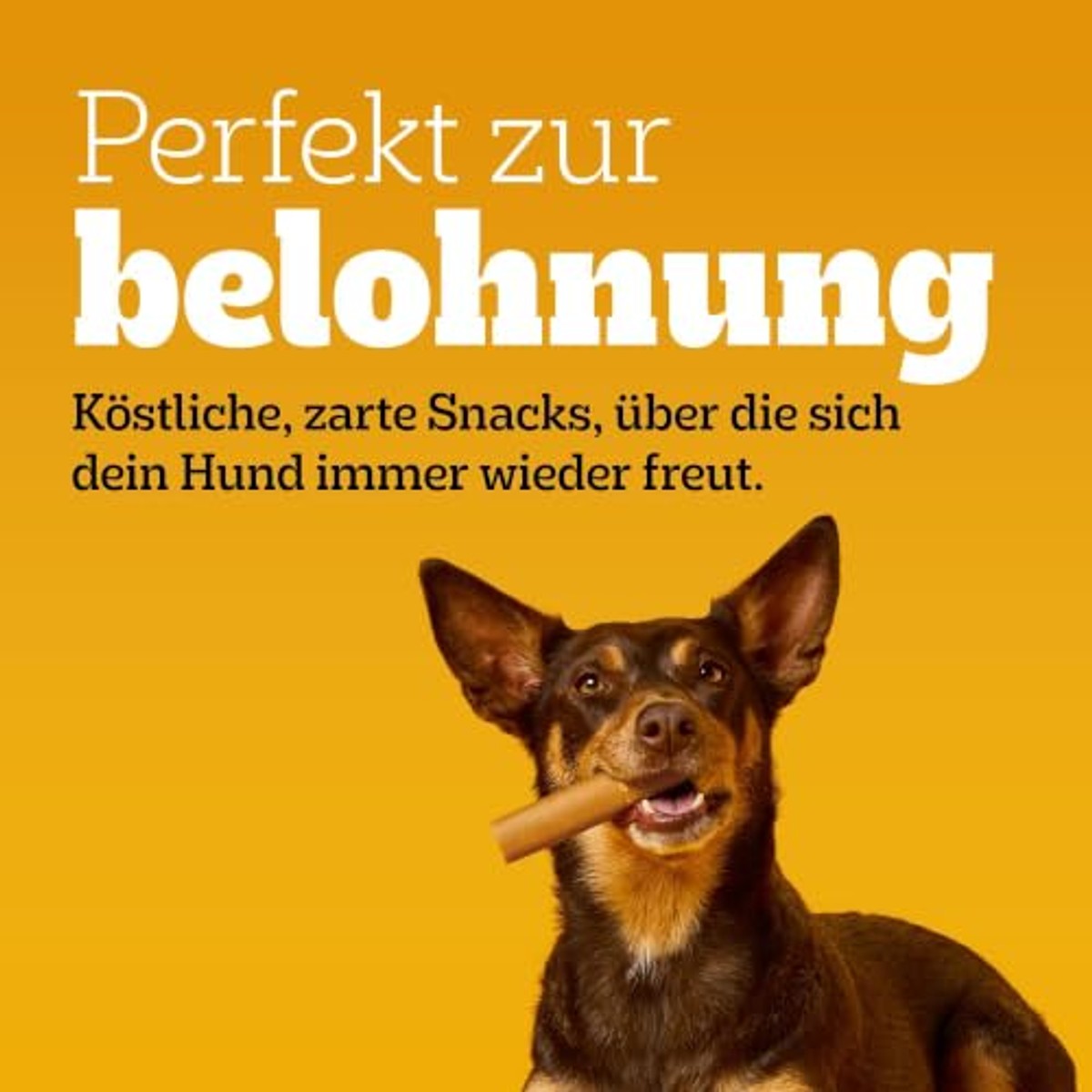 Pedigree Party Pack hondensnack kip, rund en gevogelte 241 g - 6-pack