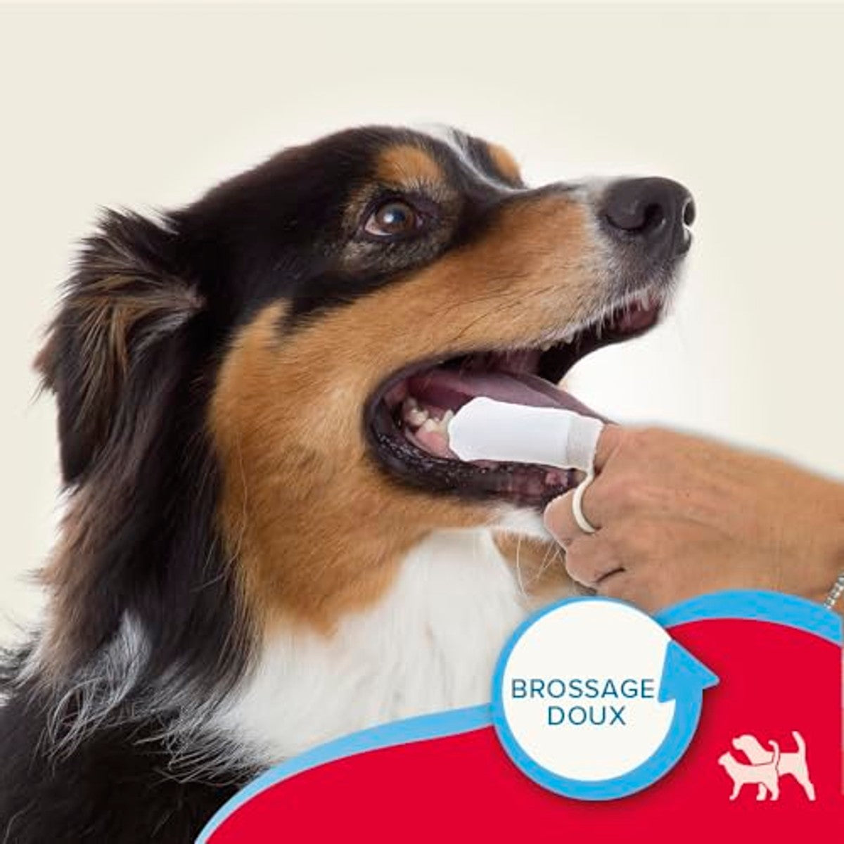 Beaphar Fingerpad 2 stuks - herbruikbare tandental-vingerpads voor zachte reiniging van de tanden - voor honden en katten – beaphar
