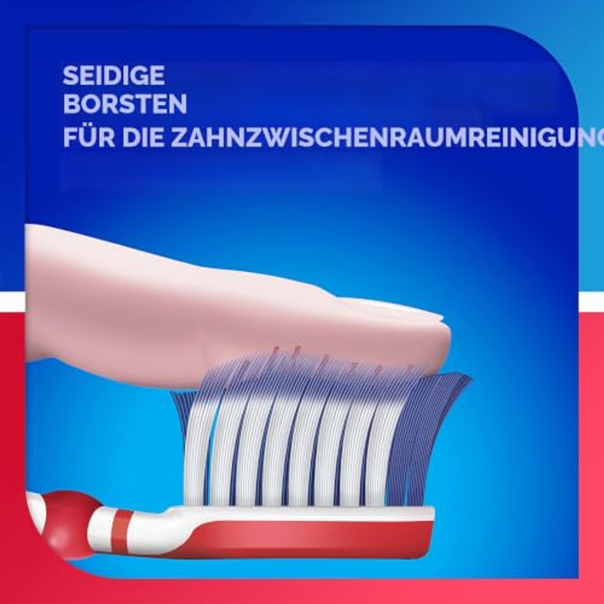 Sensodyne Tandenborstel Sensibility & Gencives Medium - 6-pack