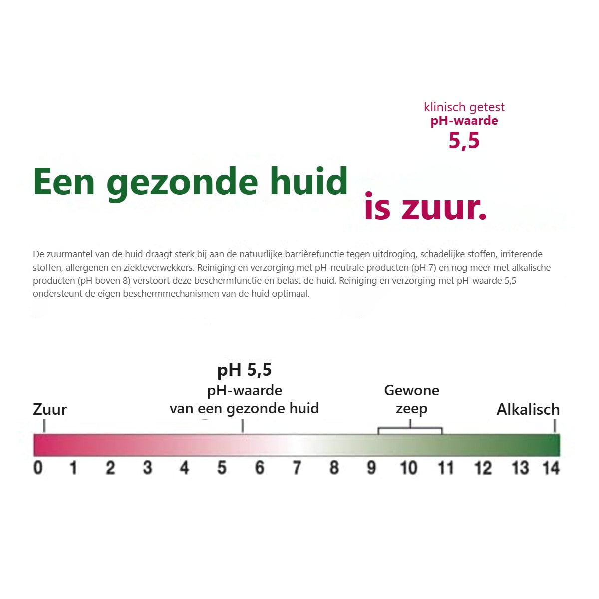 Sebamed Anti-Haarverlies Shampoo 6 x 200 ml - Voordeelverpakking – foto 5