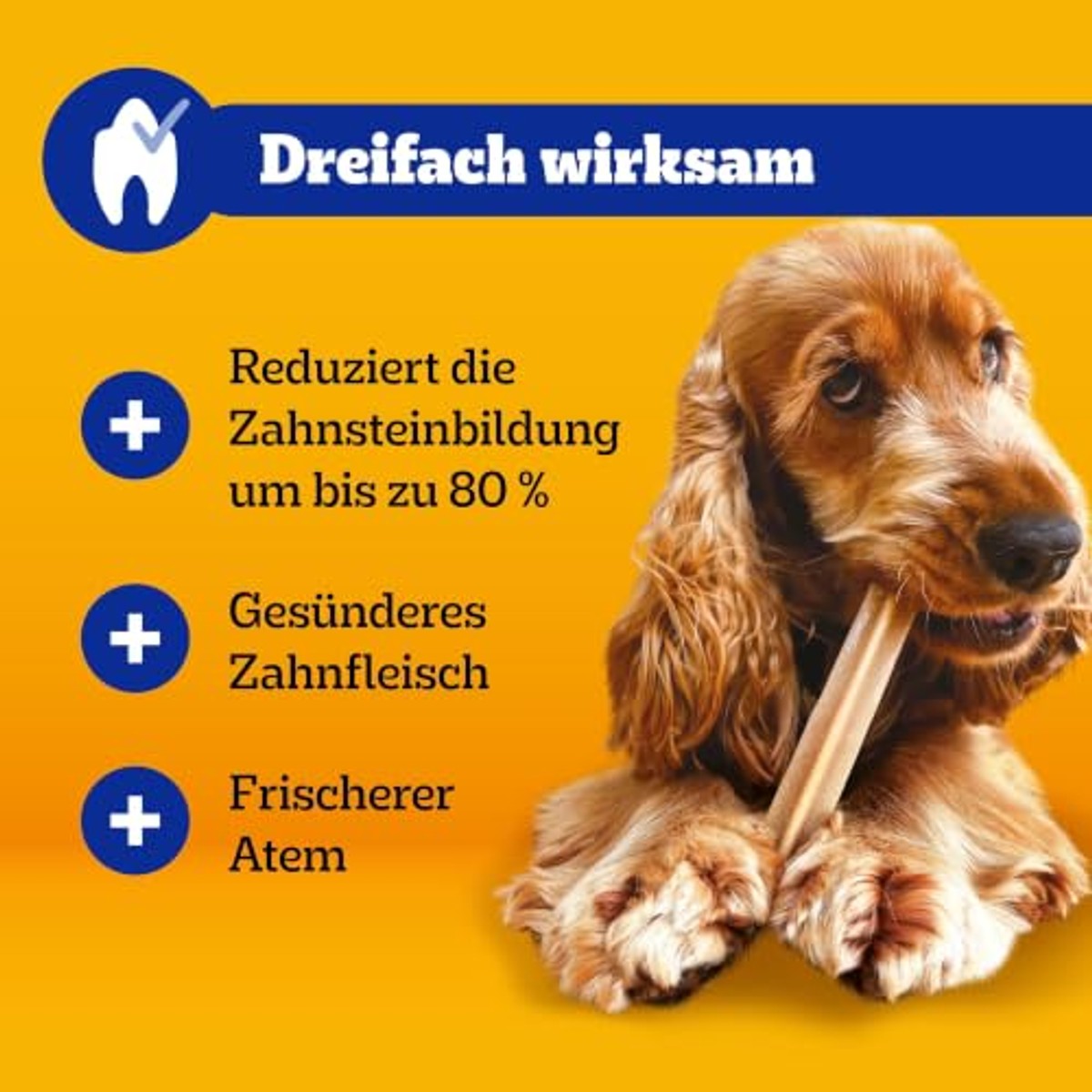Pedigree Dentastix hondensnack kip en rundvlees 4 x 28 stuks - 6-pack