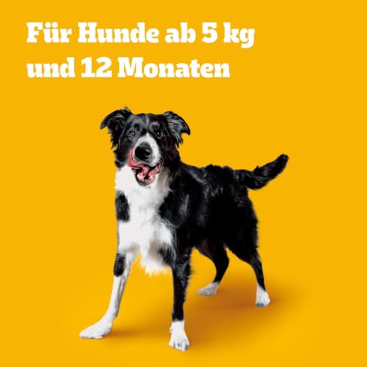 Pedigree Ranchos Fillets hondensnack kip 12 x 70 g - 6-pack