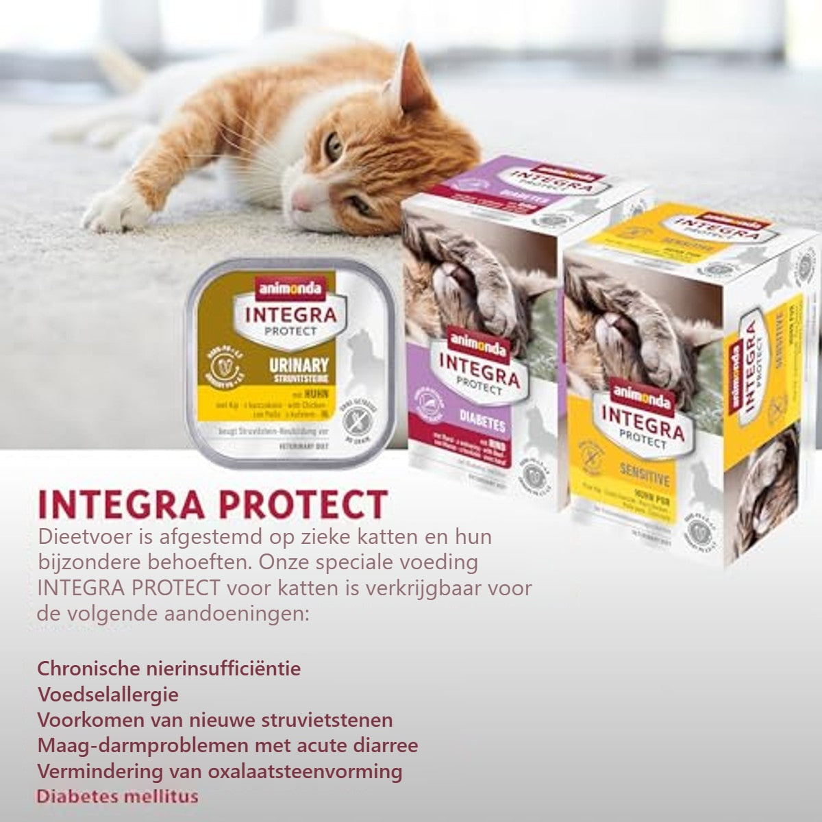 Animonda Integra Protect Sensitive natvoer kattenvoer kalkoen 16 x 100 g – foto 5