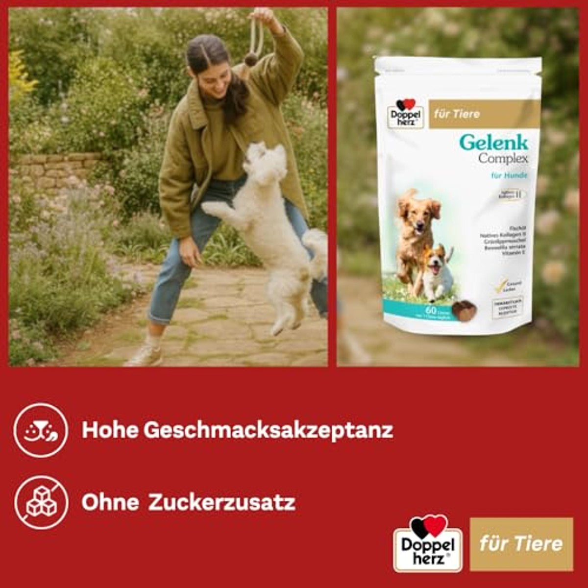 Doppelherz Gewrichtscomplex voor Honden 60 Kauwtjes - 3-pack
