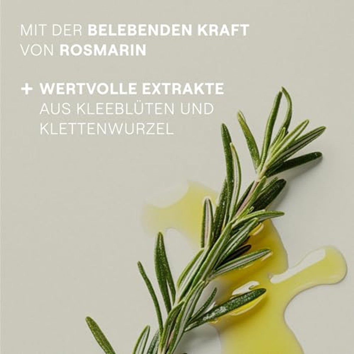 Weleda Bio Rozemarijn Haarolie 50 ml - 6-pack