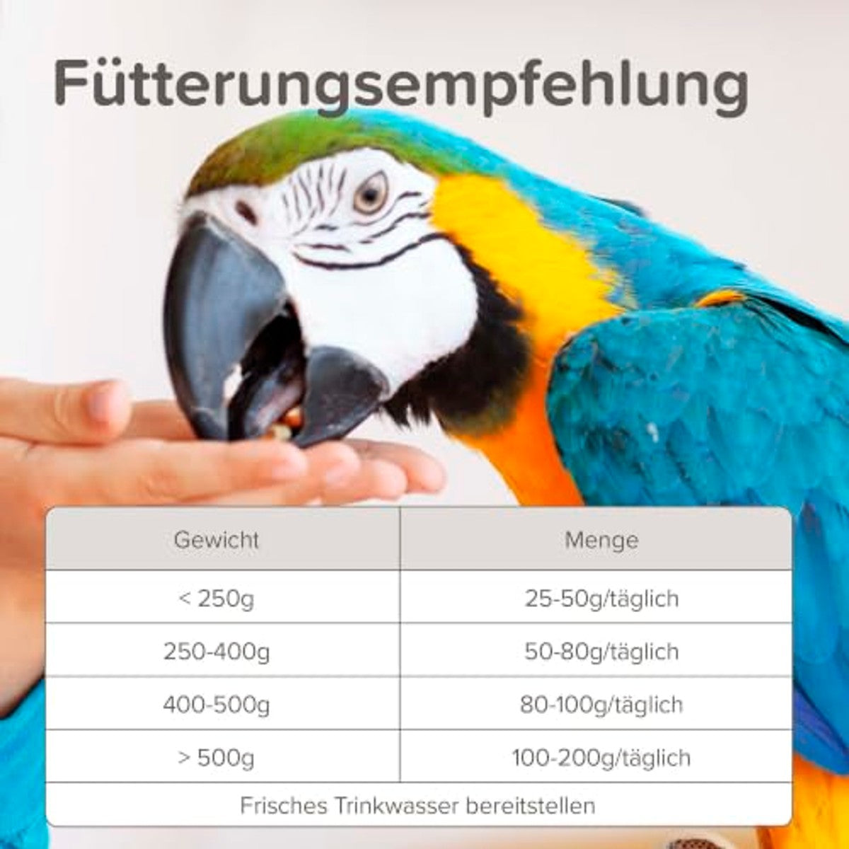 Beaphar XtraVital Papegaaien vogelvoer 1 kg – foto 5