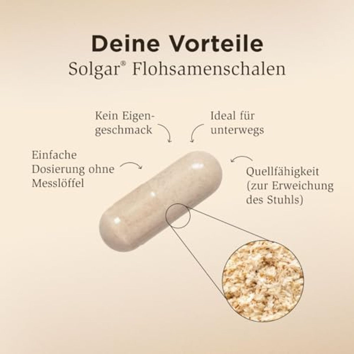 Solgar Vlooienzaadschillen 500 mg - 100 Dagen Voorraad - 3-pack
