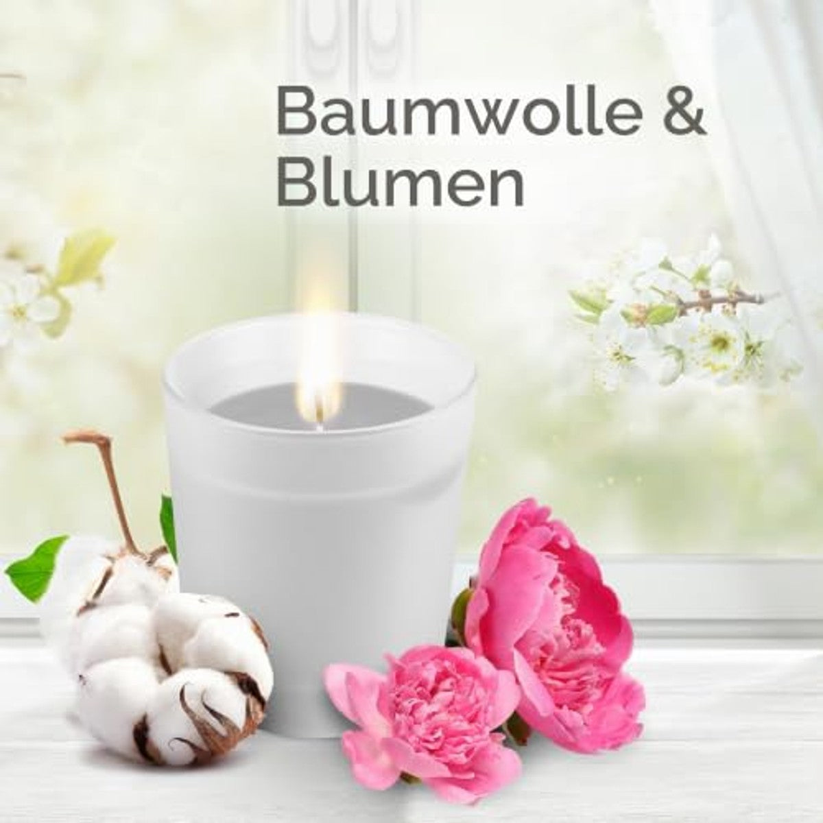 Air Wick Cotton Flower Dream geurkaarsen 6 x 105 g – Air Wick