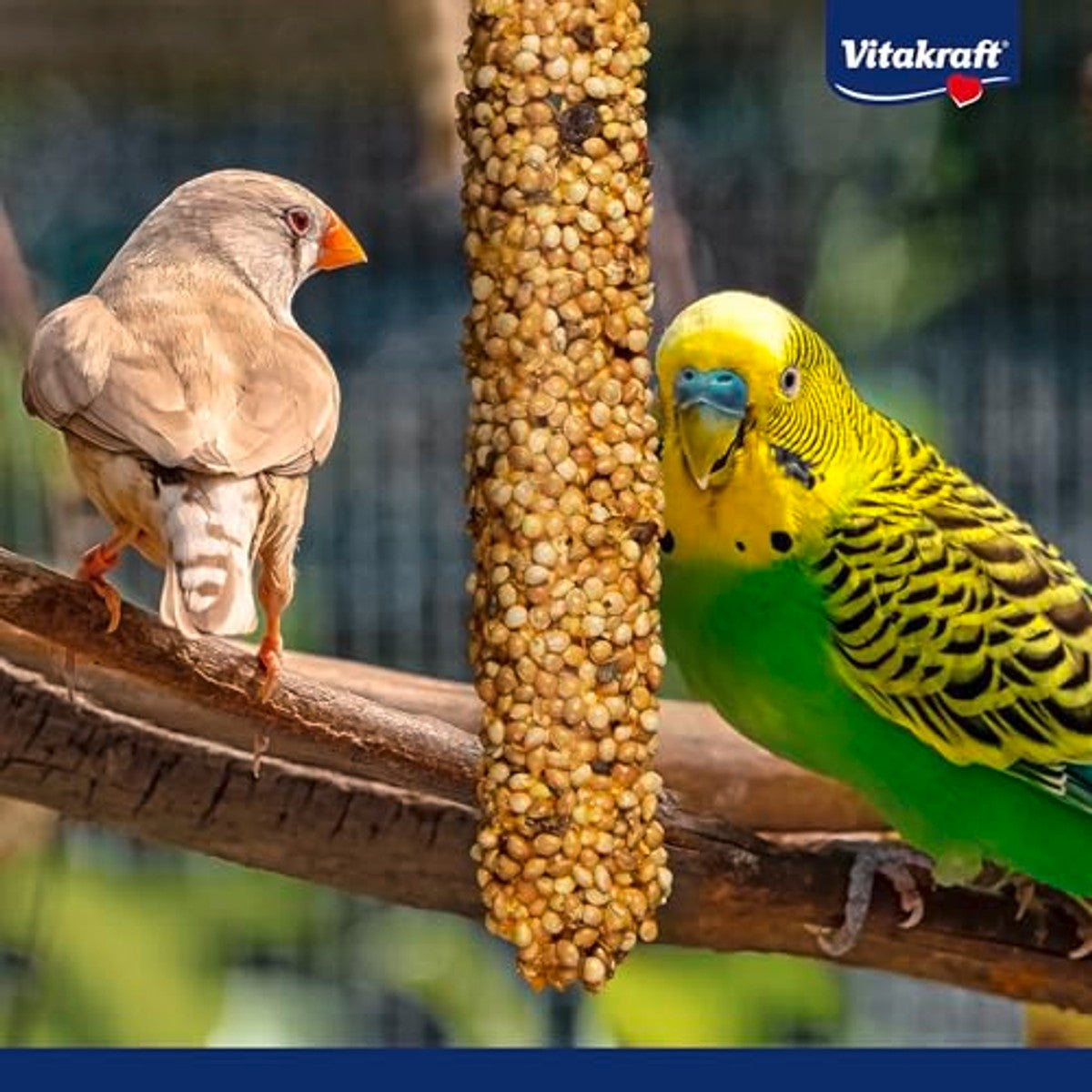 Vitakraft Krukker vogelsnack ei en graszaad 10 x 54 g - 6-pack