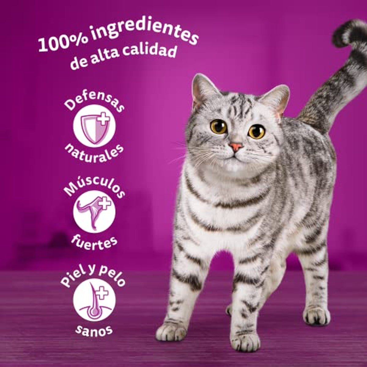 Whiskas natvoer kattenvoer visselectie in gelei 48 x 85 g - 3-pack