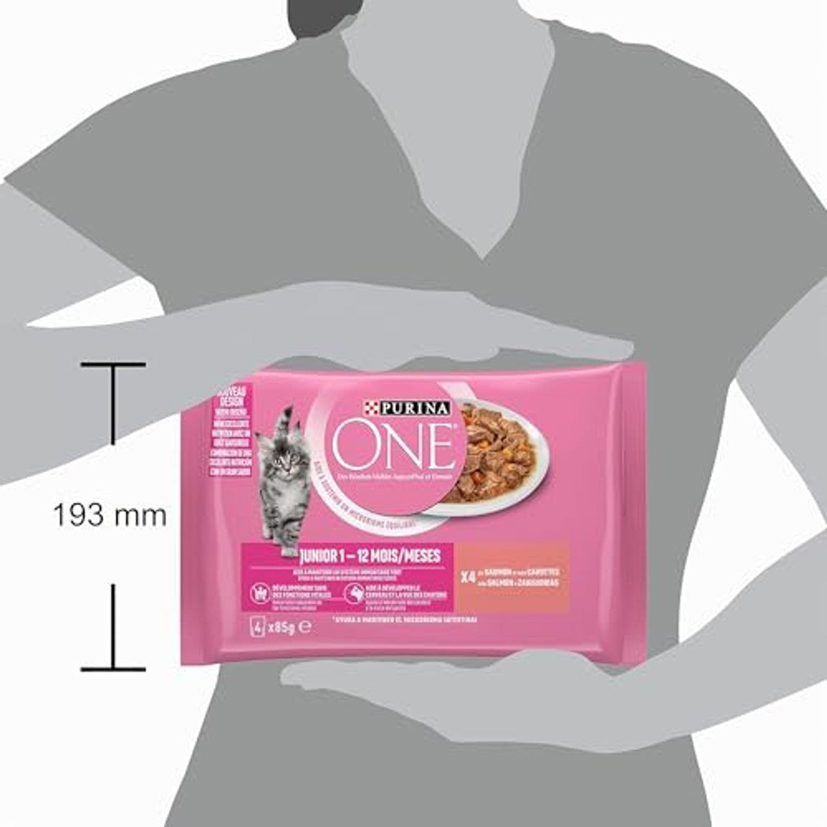 PURINA ONE Junior natvoer kattenvoer zalm 4 x 85 g - 6-pack