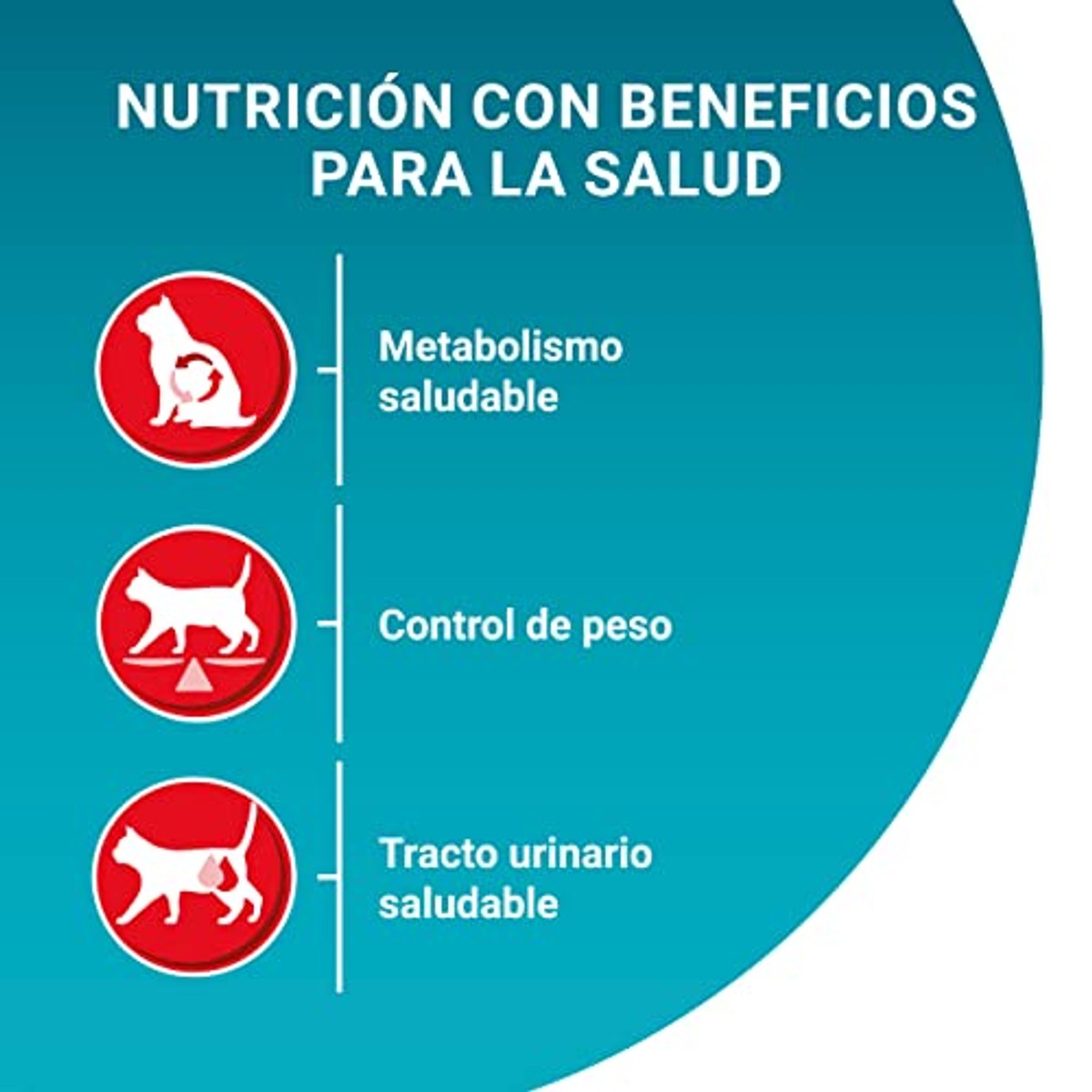Purina ONE Bifensis kattenvoer, gesteriliseerd, voor volwassenen, met zalm en granen, 8 zakjes van 800 g | Kroketten voor volwassen katten, gesteriliseerd met zalm en tarwe. Voeding voor het welzijn van de spijsvertering – PURINA ONE