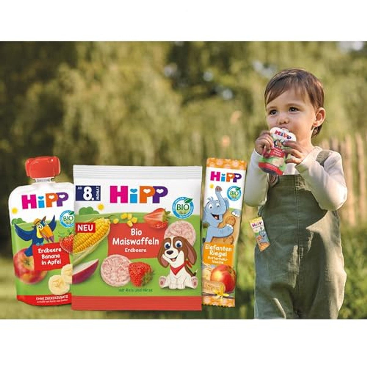 HiPP Bio Quetschie peer pruim volkoren 6 x 16 stuks - Voordeelverpakking