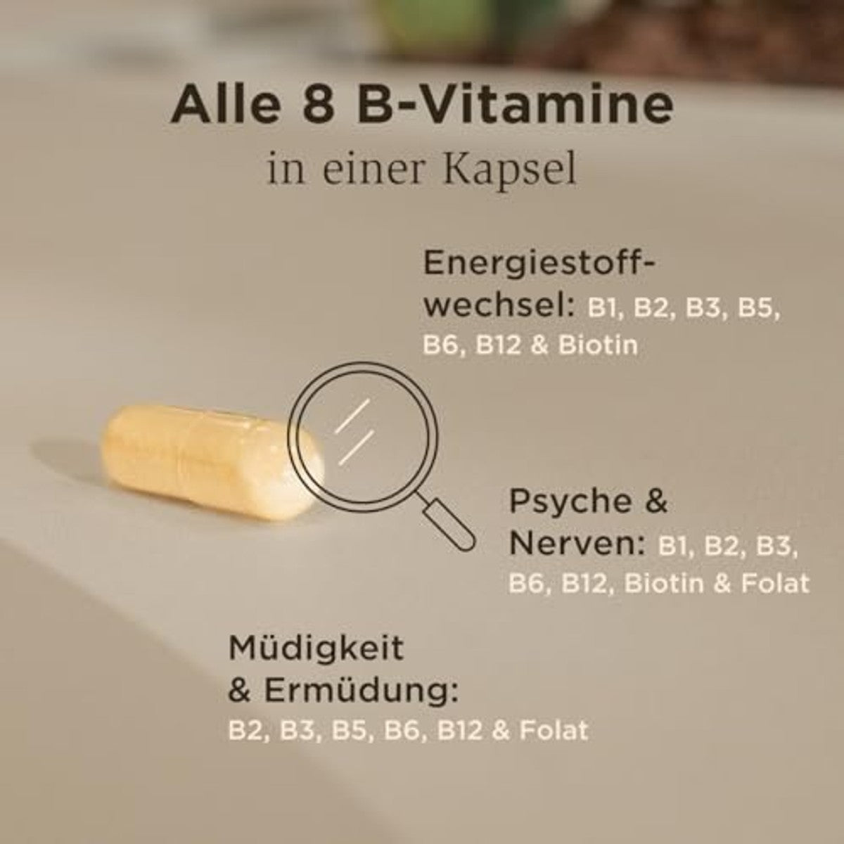 SOLGAR® Vitamine B-complex met choline en inositol, vitamine B1, B2, B3, B5, B6, B7, B9, B12, ondersteuning voor energie, zenuwen en mentale sterkte, 60 dagen voorraad – SOLGAR