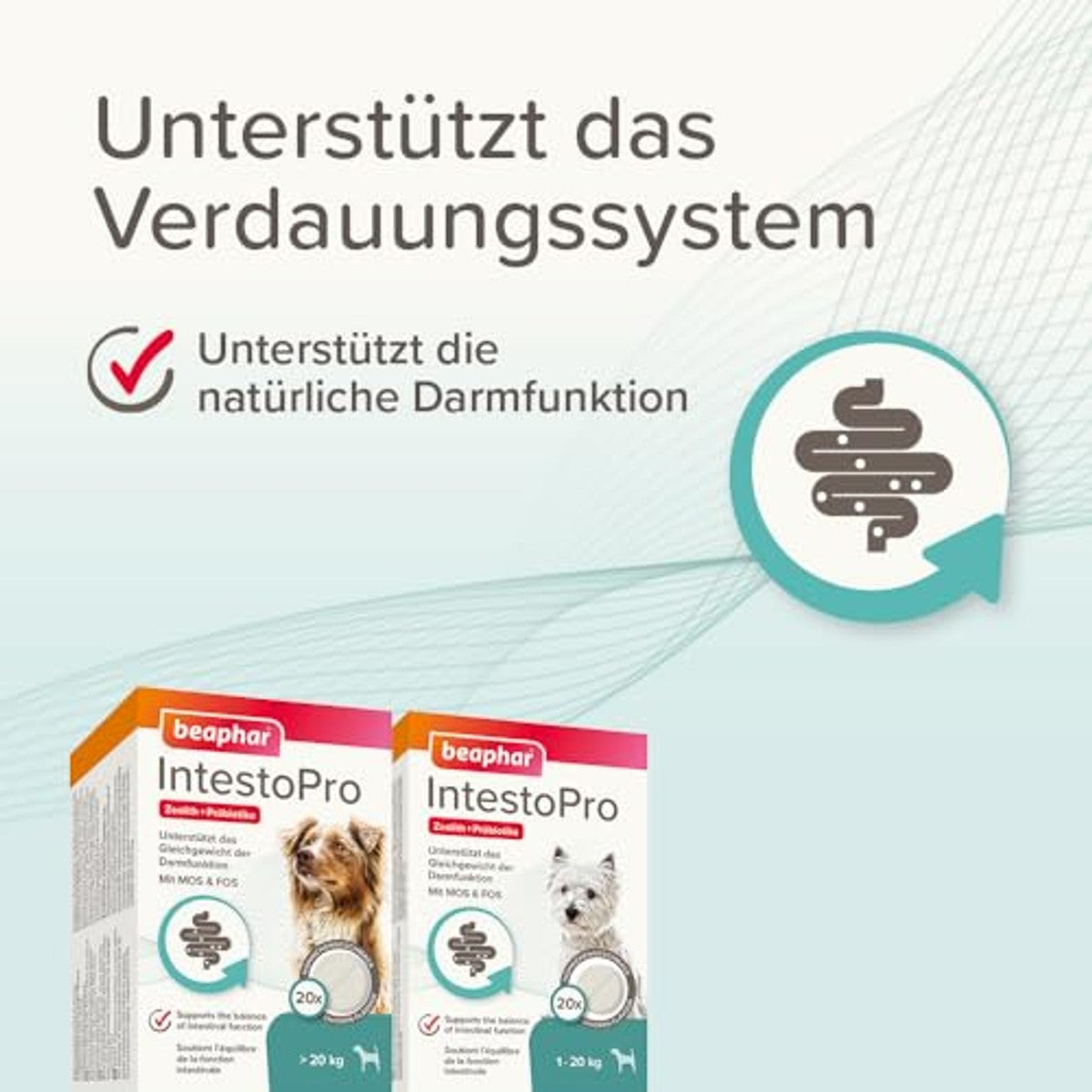 BEAPHAR - IntestoPro Tabs Voor Grote Honden - Met Zeoliet - Met MOS & FOS - Ondersteunt Darmevenwicht - 20 stuks – beaphar