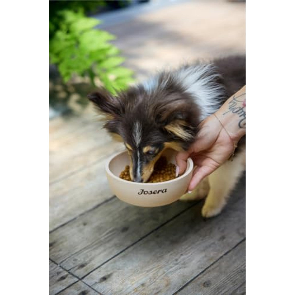 Josera Mini droogvoer hond lam 3 kg - 6-pack